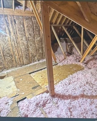 attic-remodel-demo